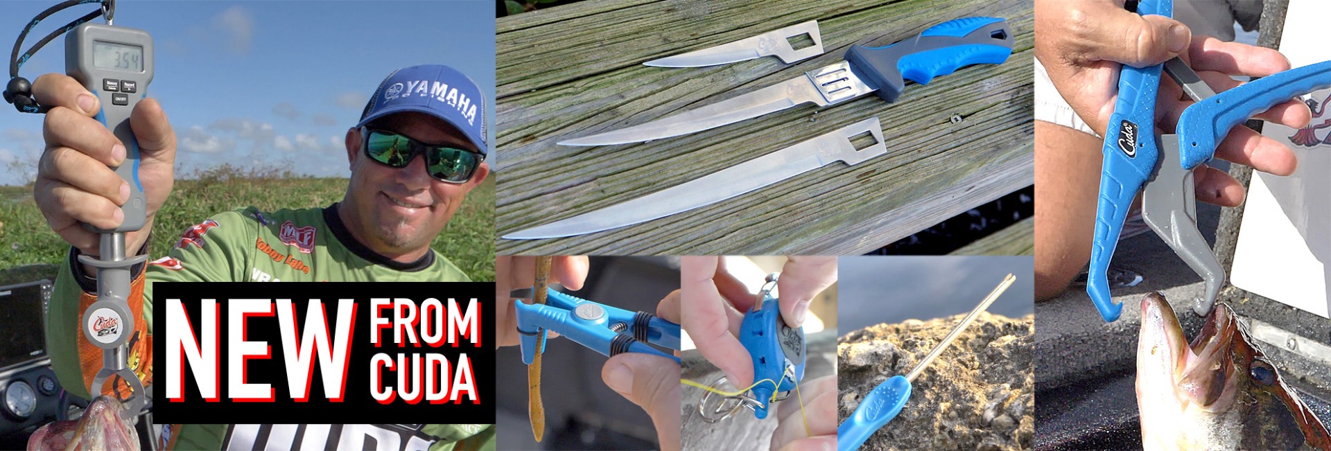 New From Cuda